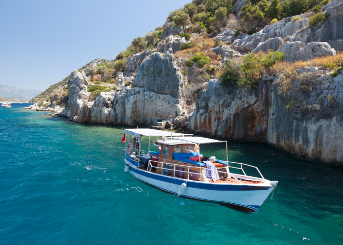 Untitled design (19)